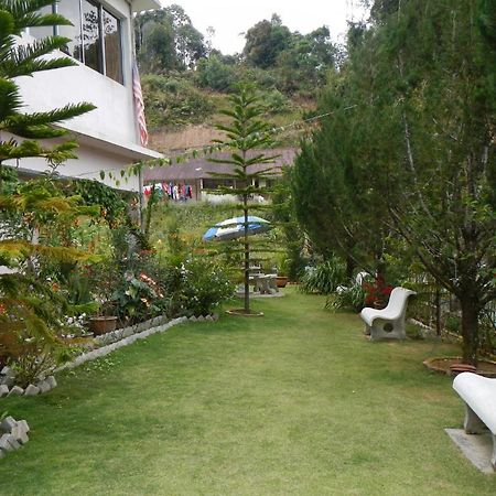 Krs Pines Hotel Κάμερον Χάιλαντς Εξωτερικό φωτογραφία