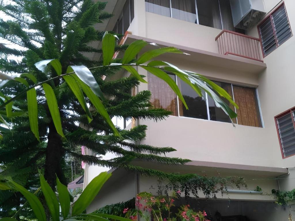 Krs Pines Hotel Κάμερον Χάιλαντς Εξωτερικό φωτογραφία